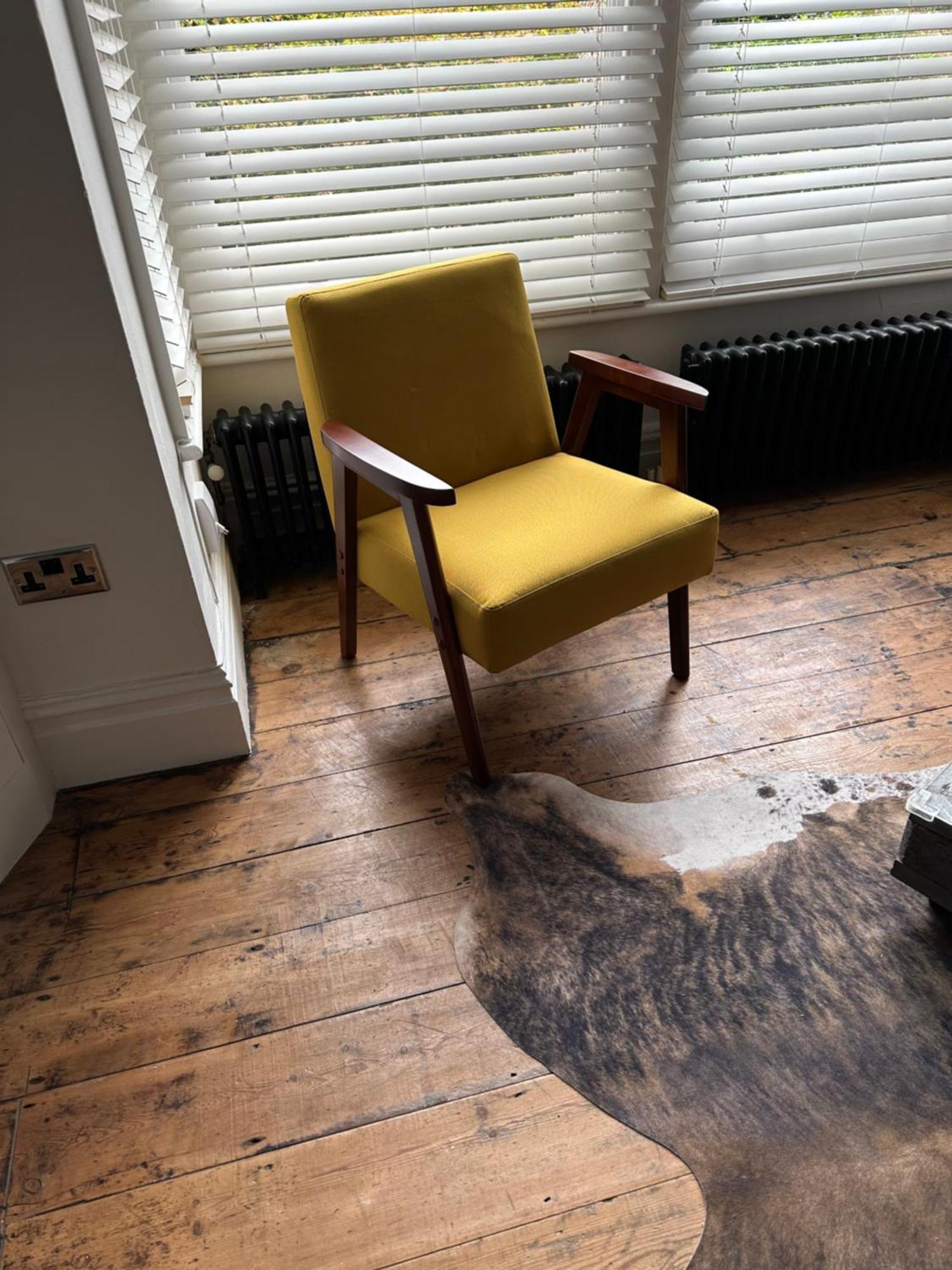וורטינג Quirky Spacious Ground Floor Victorian Garden Flat מראה חיצוני תמונה